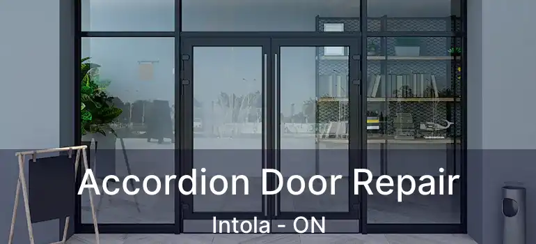  Accordion Door Repair Intola - ON