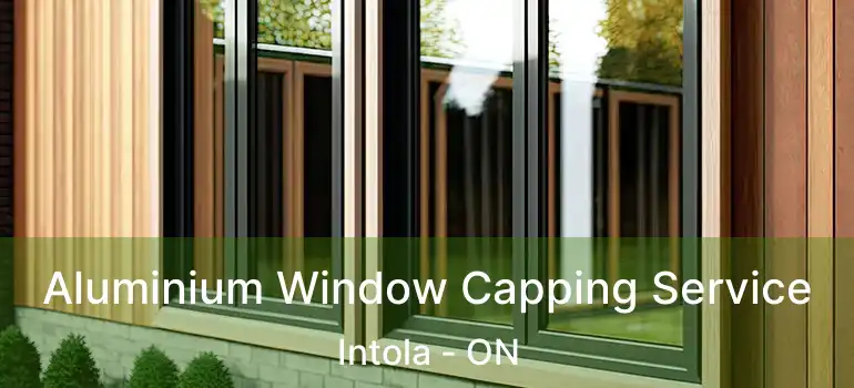  Aluminium Window Capping Service Intola - ON