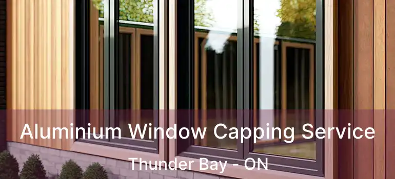  Aluminium Window Capping Service Thunder Bay - ON