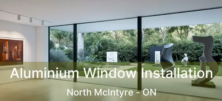  Aluminium Window Installation North McIntyre - ON