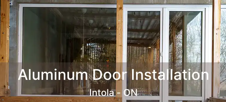  Aluminum Door Installation Intola - ON