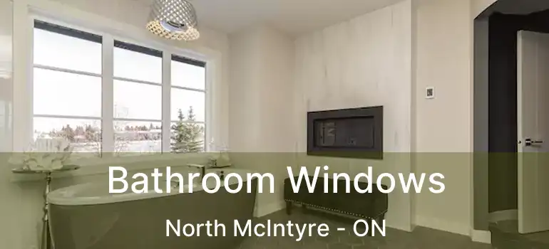  Bathroom Windows North McIntyre - ON