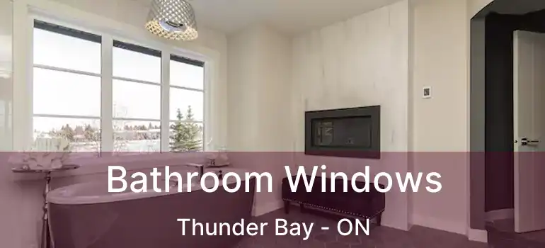  Bathroom Windows Thunder Bay - ON