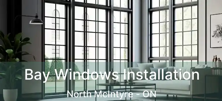  Bay Windows Installation North McIntyre - ON