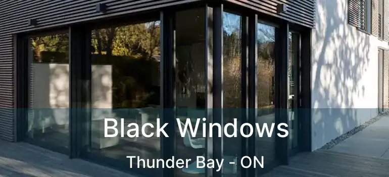  Black Windows Thunder Bay - ON