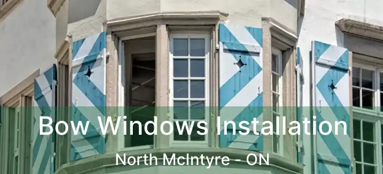  Bow Windows Installation North McIntyre - ON