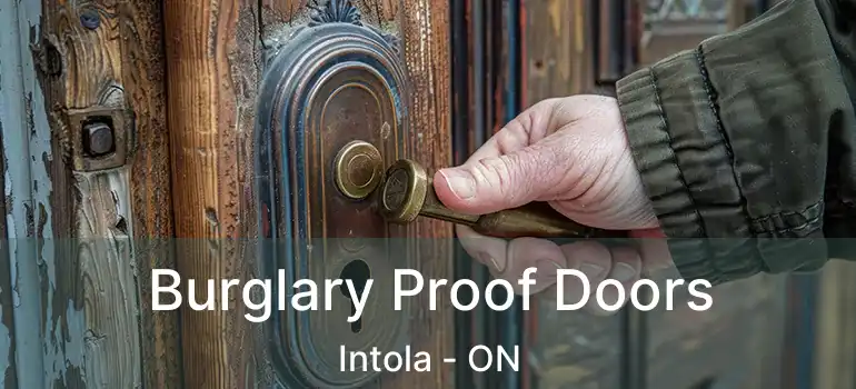  Burglary Proof Doors Intola - ON