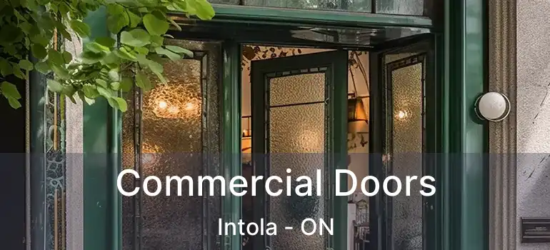  Commercial Doors Intola - ON