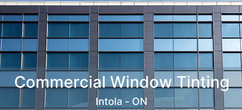  Commercial Window Tinting Intola - ON