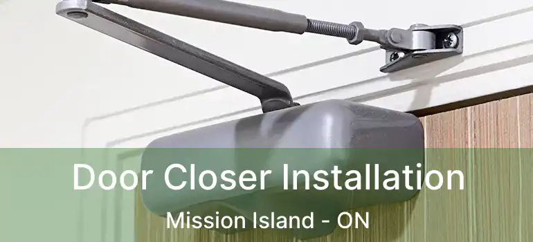  Door Closer Installation Mission Island - ON