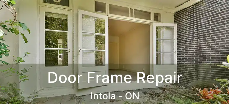  Door Frame Repair Intola - ON