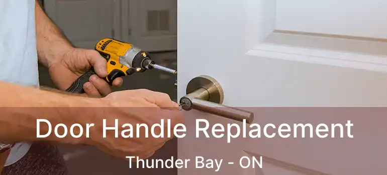  Door Handle Replacement Thunder Bay - ON