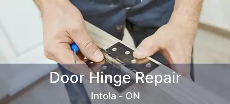  Door Hinge Repair Intola - ON