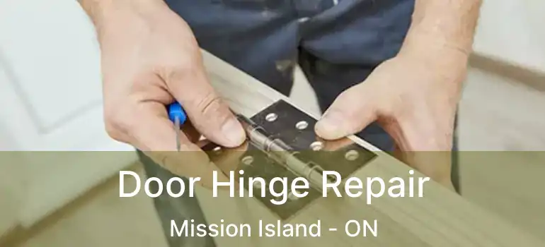  Door Hinge Repair Mission Island - ON