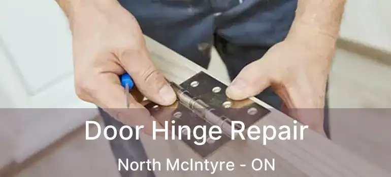  Door Hinge Repair North McIntyre - ON