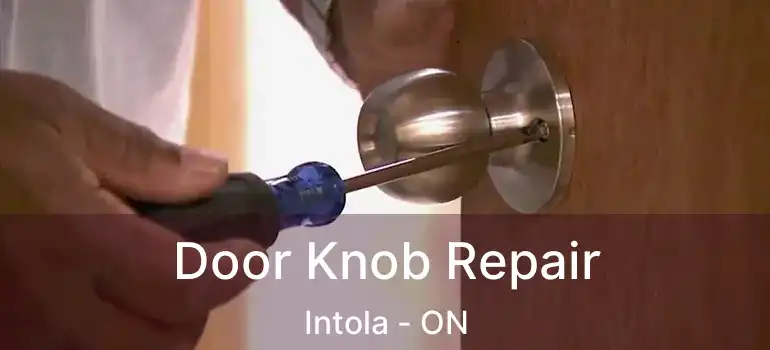  Door Knob Repair Intola - ON