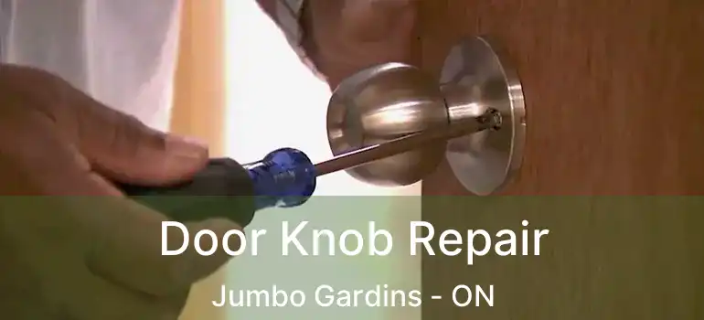  Door Knob Repair Jumbo Gardins - ON