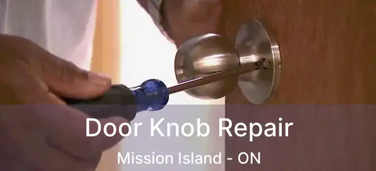  Door Knob Repair Mission Island - ON