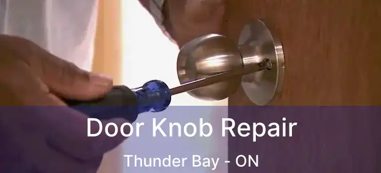  Door Knob Repair Thunder Bay - ON