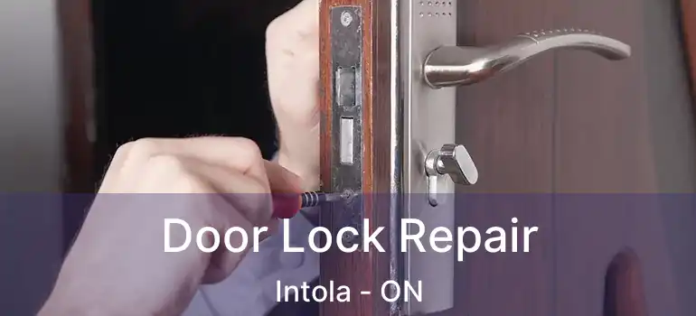  Door Lock Repair Intola - ON