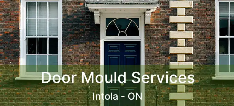  Door Mould Services Intola - ON