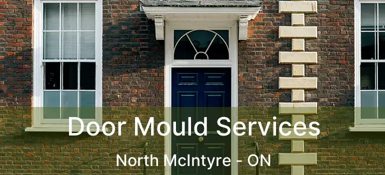  Door Mould Services North McIntyre - ON