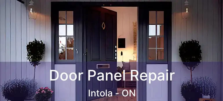  Door Panel Repair Intola - ON