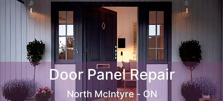  Door Panel Repair North McIntyre - ON