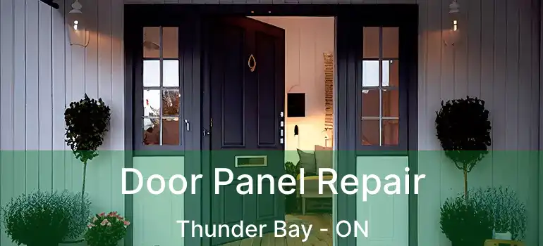  Door Panel Repair Thunder Bay - ON