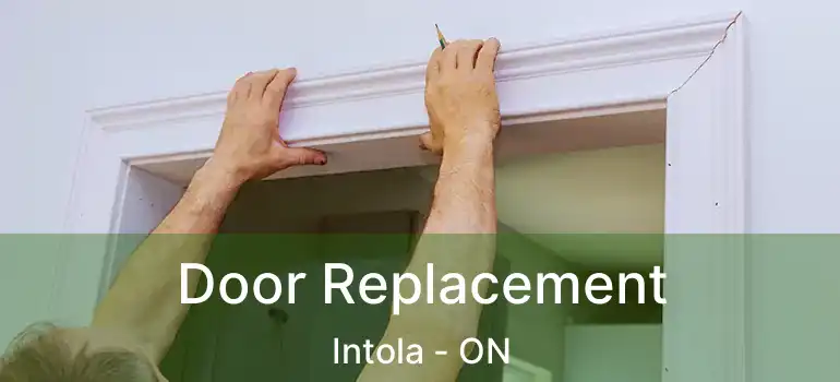  Door Replacement Intola - ON