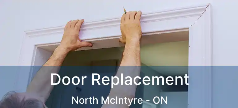  Door Replacement North McIntyre - ON