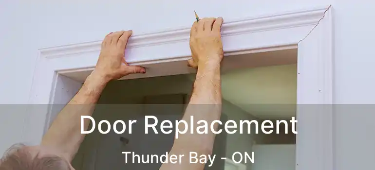  Door Replacement Thunder Bay - ON