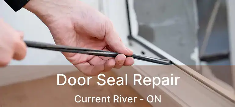  Door Seal Repair Current River - ON