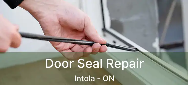  Door Seal Repair Intola - ON