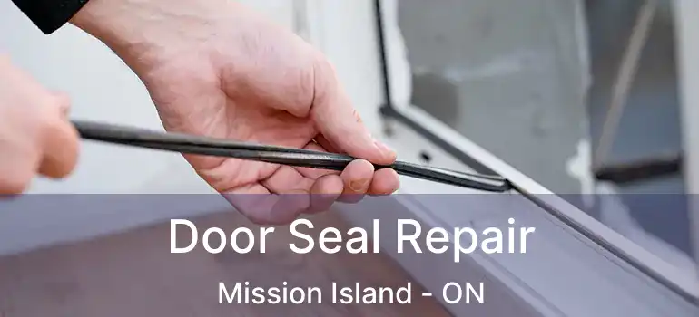  Door Seal Repair Mission Island - ON