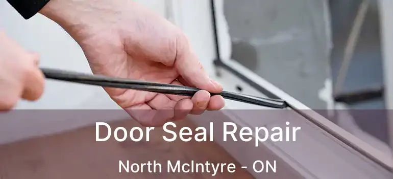  Door Seal Repair North McIntyre - ON