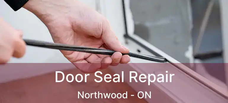  Door Seal Repair Northwood - ON