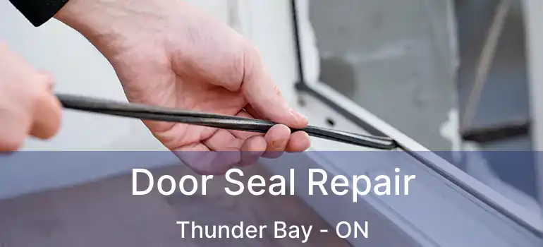  Door Seal Repair Thunder Bay - ON