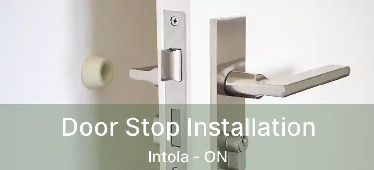  Door Stop Installation Intola - ON