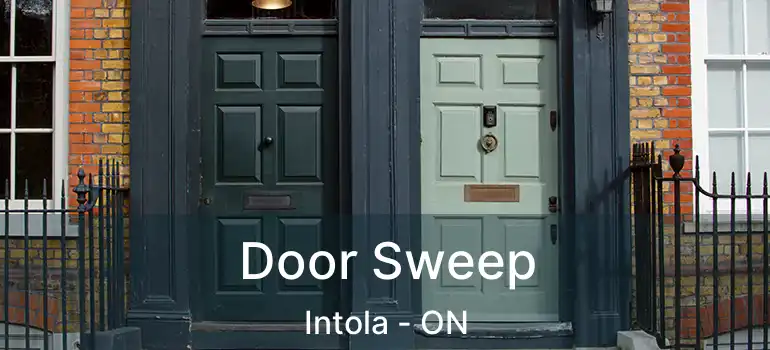  Door Sweep Intola - ON