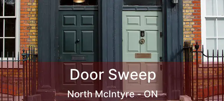  Door Sweep North McIntyre - ON