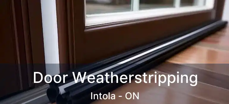  Door Weatherstripping Intola - ON