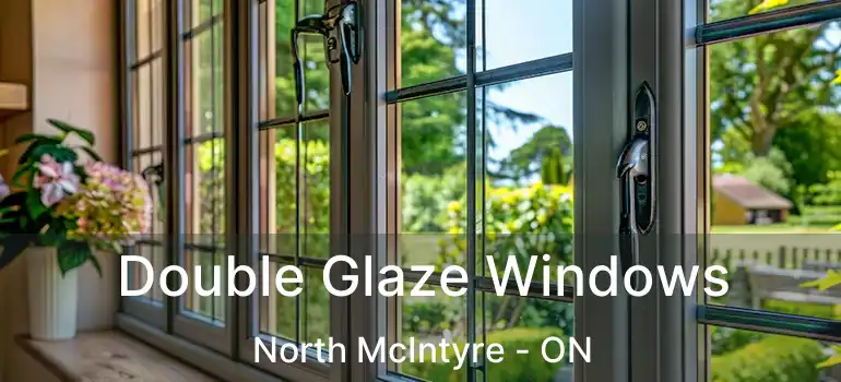  Double Glaze Windows North McIntyre - ON