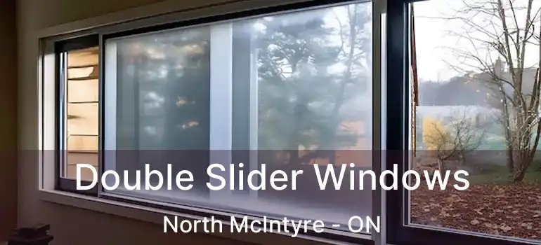  Double Slider Windows North McIntyre - ON