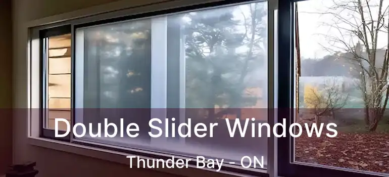  Double Slider Windows Thunder Bay - ON