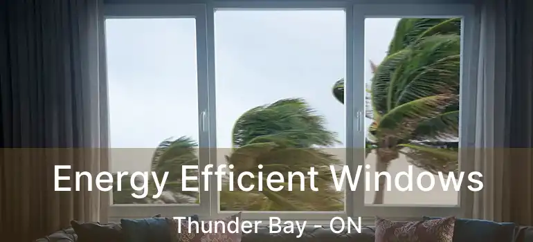  Energy Efficient Windows Thunder Bay - ON