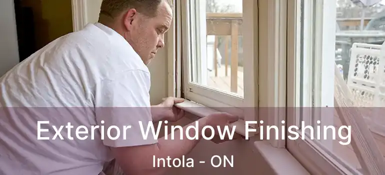  Exterior Window Finishing Intola - ON