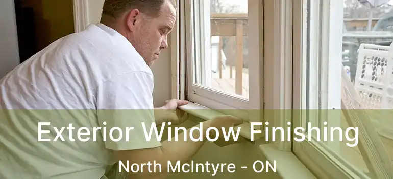  Exterior Window Finishing North McIntyre - ON