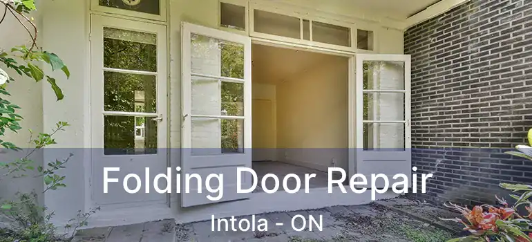  Folding Door Repair Intola - ON