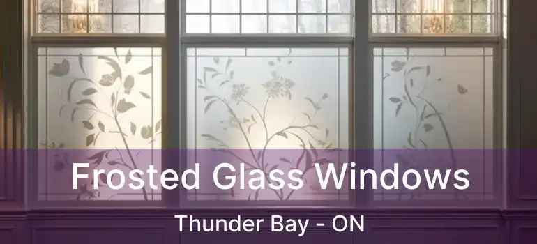  Frosted Glass Windows Thunder Bay - ON